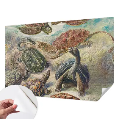 Papier peint photo grand format pour le mur faune des tortues