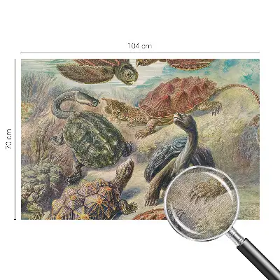 Papier peint photo grand format pour le mur faune des tortues