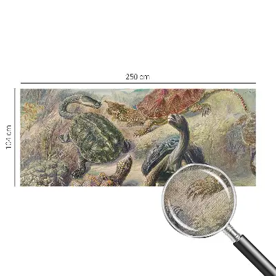 Papier peint photo grand format pour le mur faune des tortues