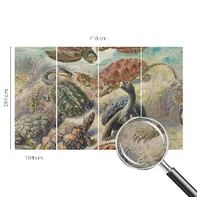 Papier peint photo grand format pour le mur faune des tortues
