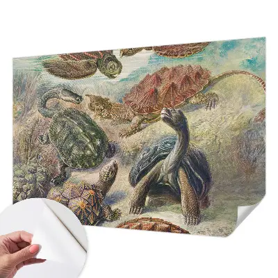 Papier peint photo grand format pour le mur faune des tortues