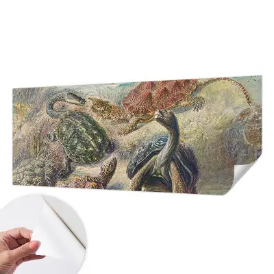Papier peint photo grand format pour le mur faune des tortues