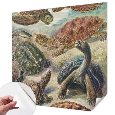 Papier peint photo grand format pour le mur faune des tortues