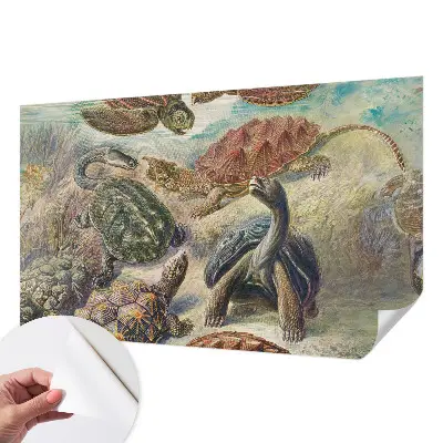 Papier peint photo grand format pour le mur faune des tortues