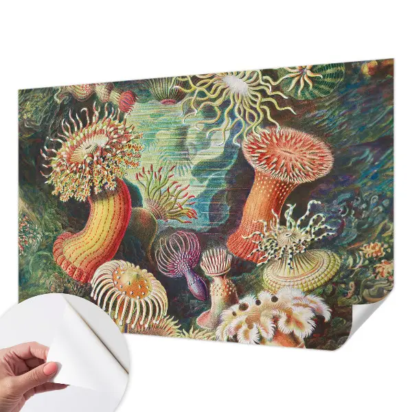 Papier peint photo sur tissu non tissé anémones fantaisie