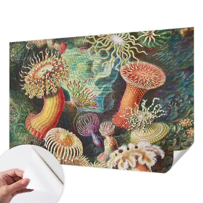 Papier peint photo sur tissu non tissé anémones fantaisie