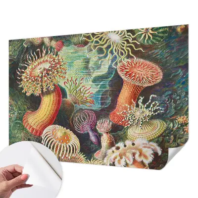 Papier peint photo sur tissu non tissé anémones fantaisie