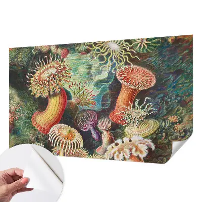 Papier peint photo sur tissu non tissé anémones fantaisie