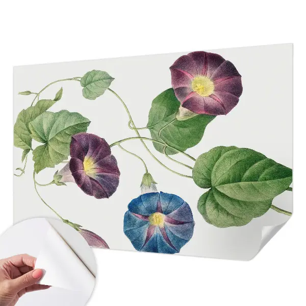 Papier peint intissé Élégance florale