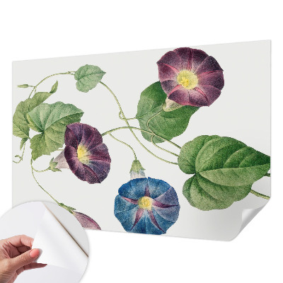 Papier peint adhésif Floristická elegancia