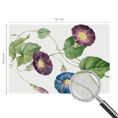 Papier peint adhésif Floristická elegancia
