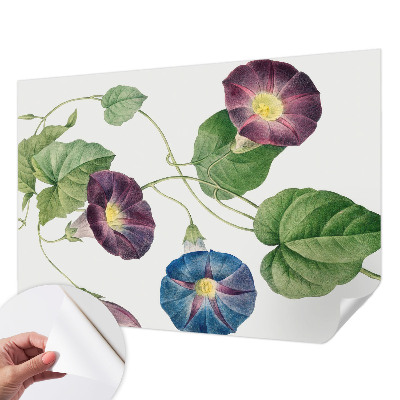 Papier peint adhésif Floristická elegancia