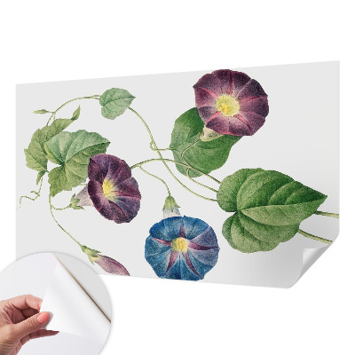 Papier peint adhésif Floristická elegancia