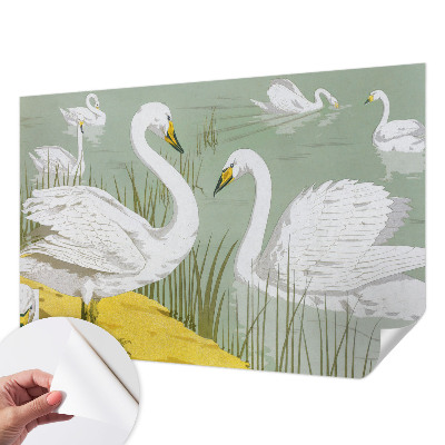 Papier peint chambre adulte cocooning Labutie jazero