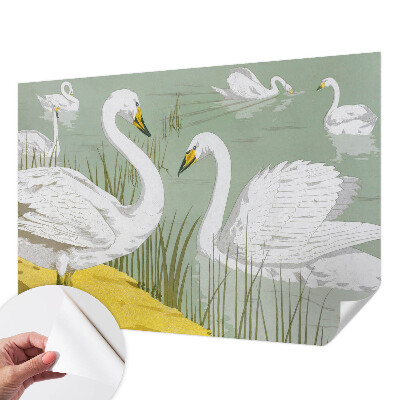 Papier peint chambre adulte cocooning Labutie jazero