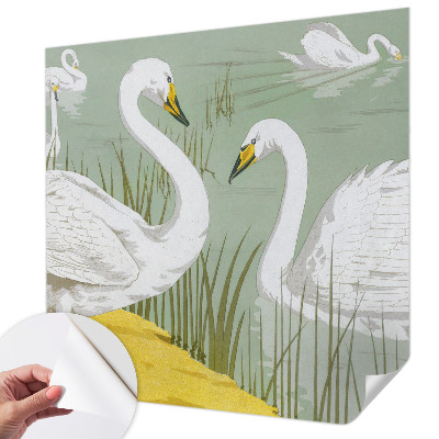 Papier peint chambre adulte cocooning Labutie jazero