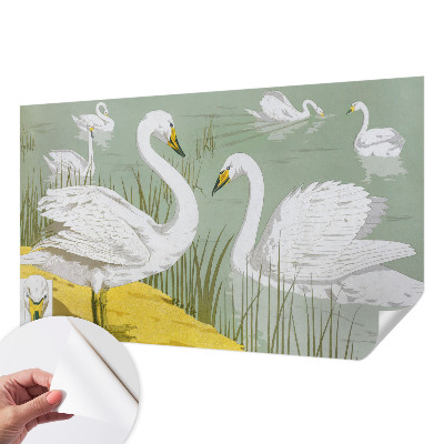 Papier peint chambre adulte cocooning Labutie jazero