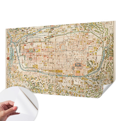 Papier peint chambre garçon Starožitná mapa