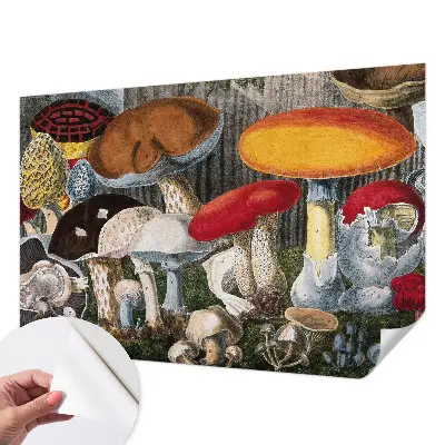 Papier peint photo imprimé sur tissu non tissé champignons botaniques