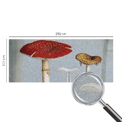 Papier peint intissé Gravures de champignons