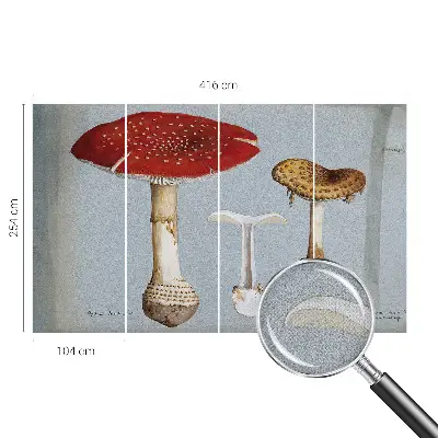 Papier peint intissé Gravures de champignons