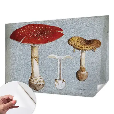 Papier peint intissé Gravures de champignons
