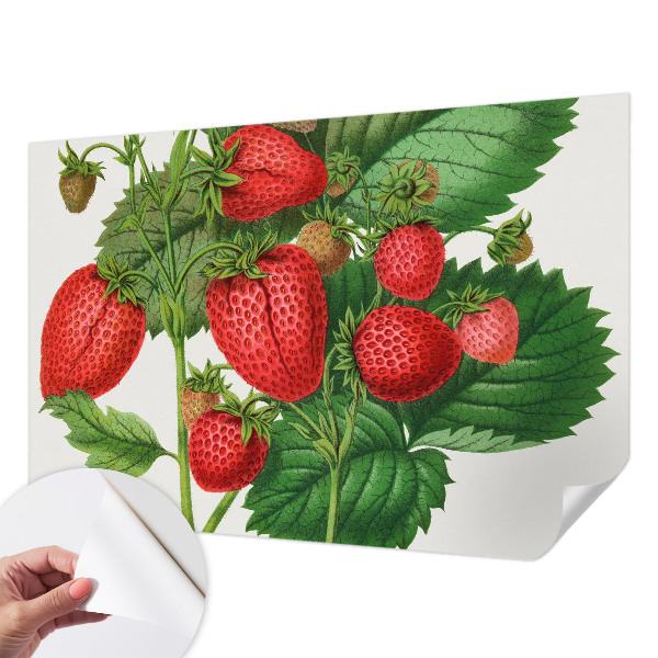 Papier peint panoramique adhésif Letné ovocie
