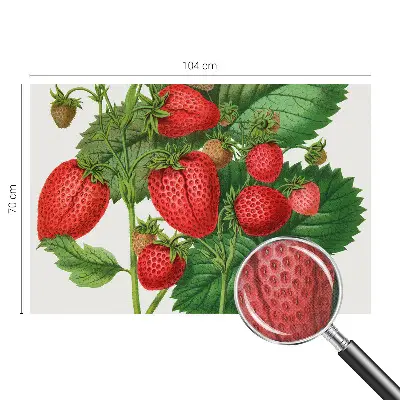 Papier peint photo grand format pour le mur Fruits d'été