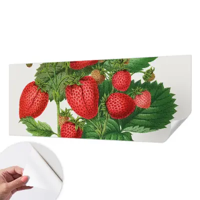 Papier peint photo grand format pour le mur Fruits d'été