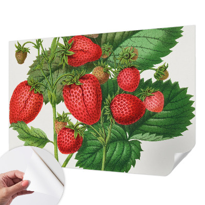 Papier peint panoramique adhésif Letné ovocie