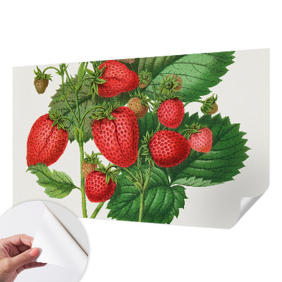 Papier peint panoramique adhésif Letné ovocie