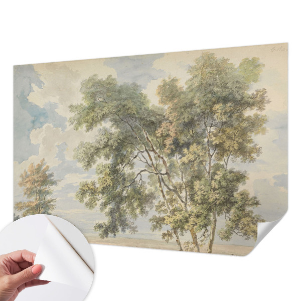 Papier peint chambre garçon Romantická príroda