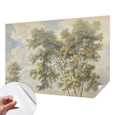 Papier peint chambre garçon Romantická príroda