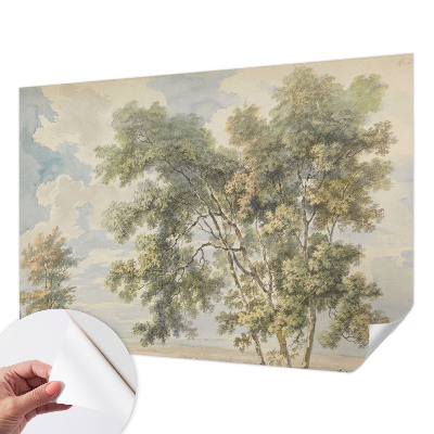 Papier peint chambre garçon Romantická príroda