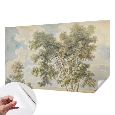 Papier peint chambre garçon Romantická príroda