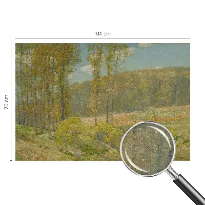 Papier peint photo grand format pour le mur paysage forestier