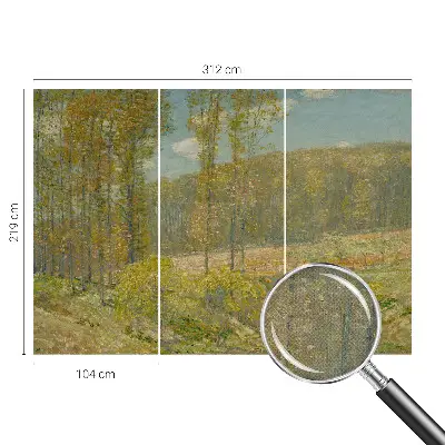 Papier peint photo grand format pour le mur paysage forestier