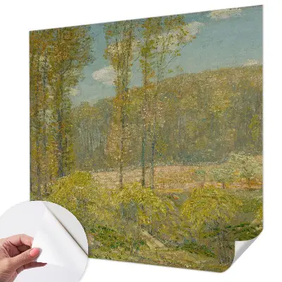 Papier peint photo grand format pour le mur paysage forestier