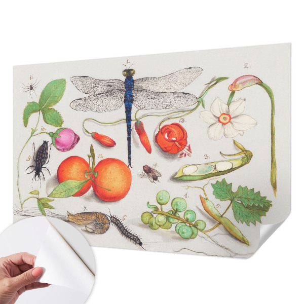 Papier peint panoramique pas cher Ilustrácia prírody