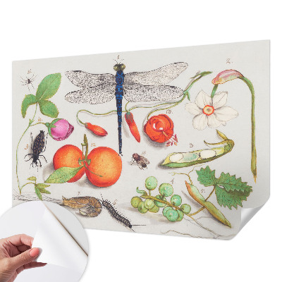 Papier peint panoramique pas cher Ilustrácia prírody