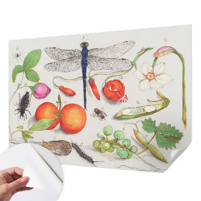 Papier peint intissé imprimé Illustration de la nature
