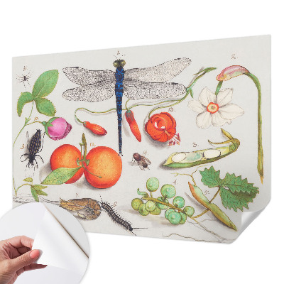 Papier peint panoramique pas cher Ilustrácia prírody
