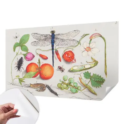 Papier peint intissé imprimé Illustration de la nature