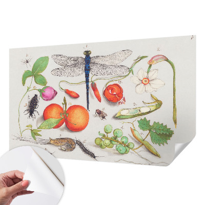 Papier peint panoramique pas cher Ilustrácia prírody