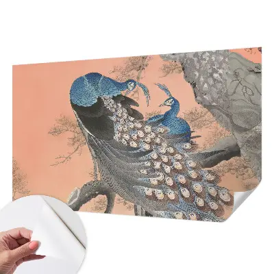 Papier peint photographique sur tissu non tissé Élégance du paon