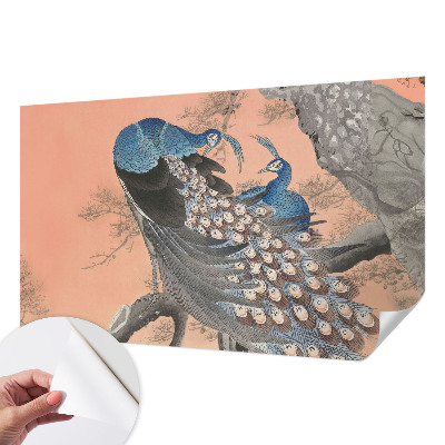 Papier peint chambre ado Pávia elegancia