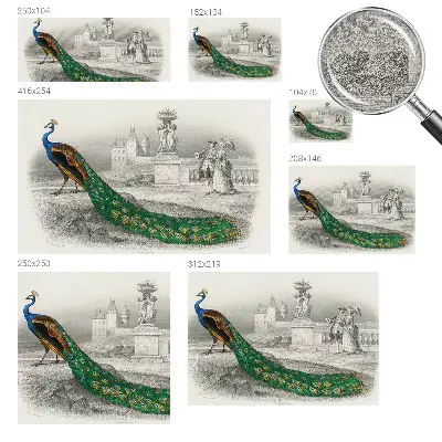 Papier peint intissé imprimé plumes colorées