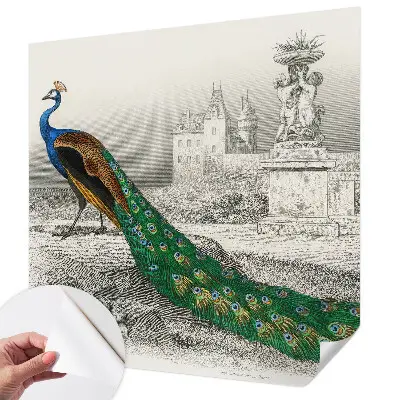 Papier peint intissé imprimé plumes colorées