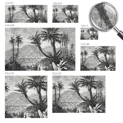 Papier peint photo sur tissu non tissé oasis tropicale