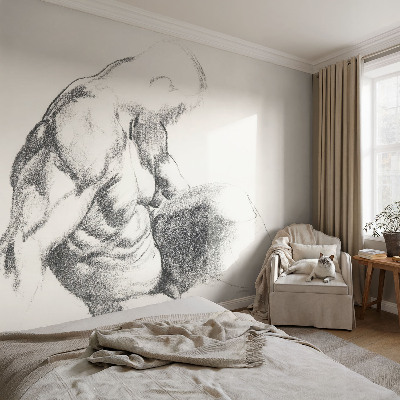 Papier peint tête de lit chambre adulte Mužská skica